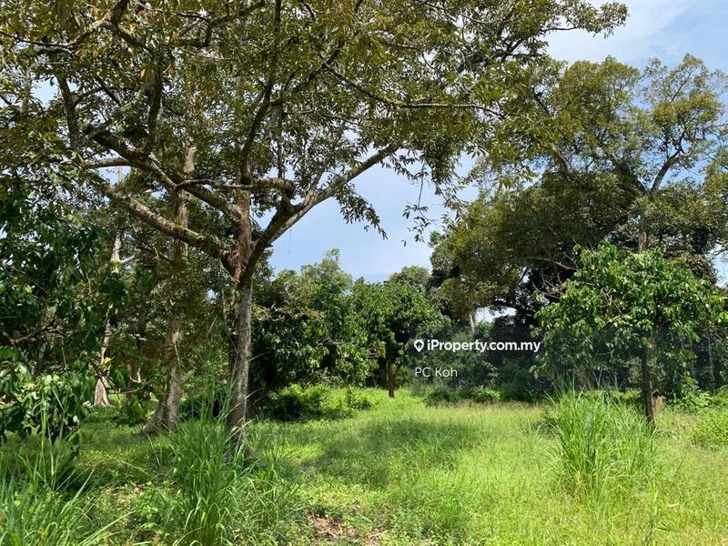 Tanah Pertanian untuk Dijual di Kesang Laut, Muar oleh PC Koh - iProperty.com.my