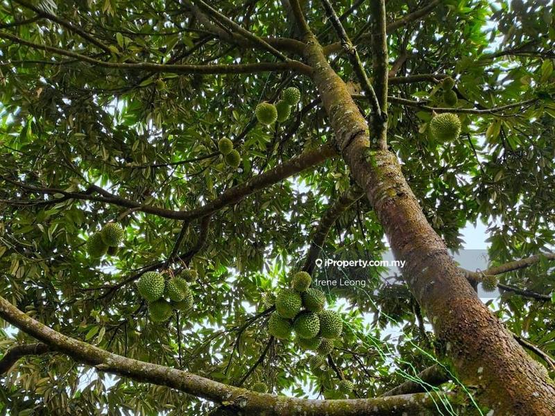 Tanah Pertanian untuk Dijual di Karak, Pahang oleh Irene Leong - iProperty.com.my