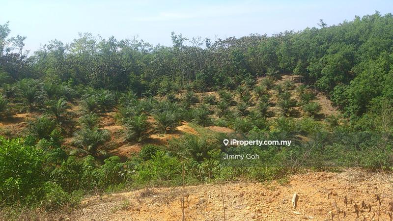 Tanah Pertanian untuk Dijual di Kerling, Kerling oleh Jimmy Goh - iProperty.com.my
