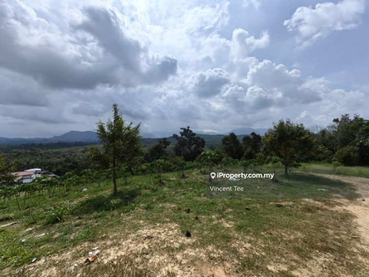Tanah Pertanian untuk Dijual di Bandar Raub Perdana, Raub oleh Vincent Tee - iProperty.com.my