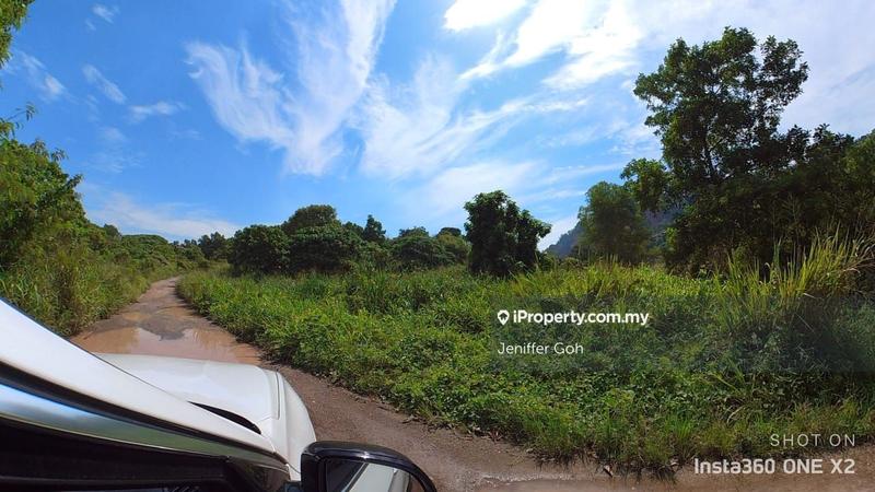 Agricultural Land for Sale in Berapit, Bukit Mertajam by Jeniffer Goh - iProperty.com.my