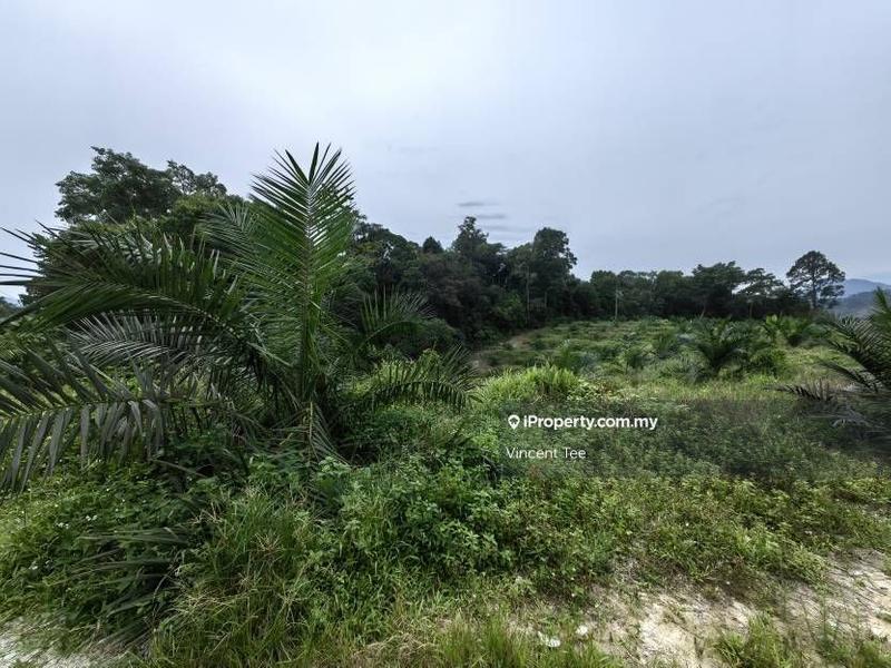 Tanah Pertanian untuk Dijual di Kampung Renal, Kuala Klawang oleh Vincent Tee - iProperty.com.my