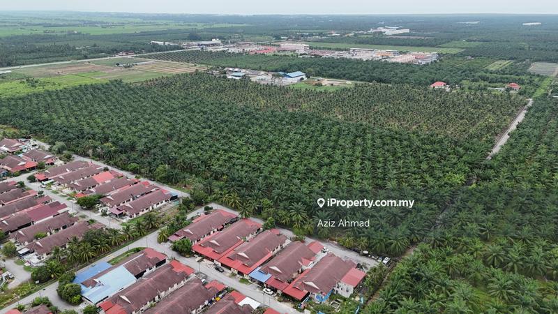 Agricultural Land for Sale in 3ayxd, Sabak Bernam by Aziz Ahmad - iProperty.com.my