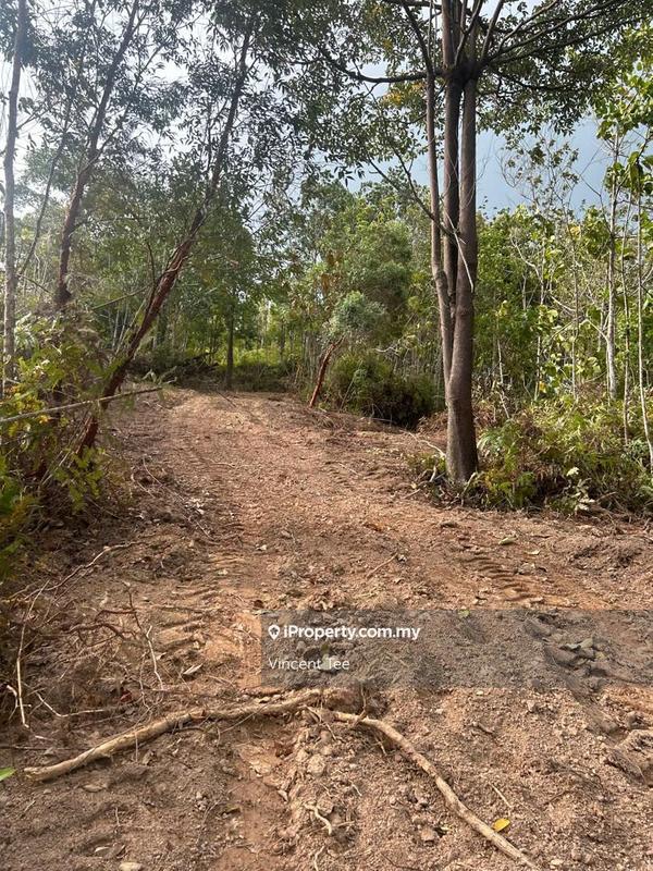 Agricultural Land untuk Dijual di Bandar Raub Perdana, Raub oleh Vincent Tee - iProperty.com.my