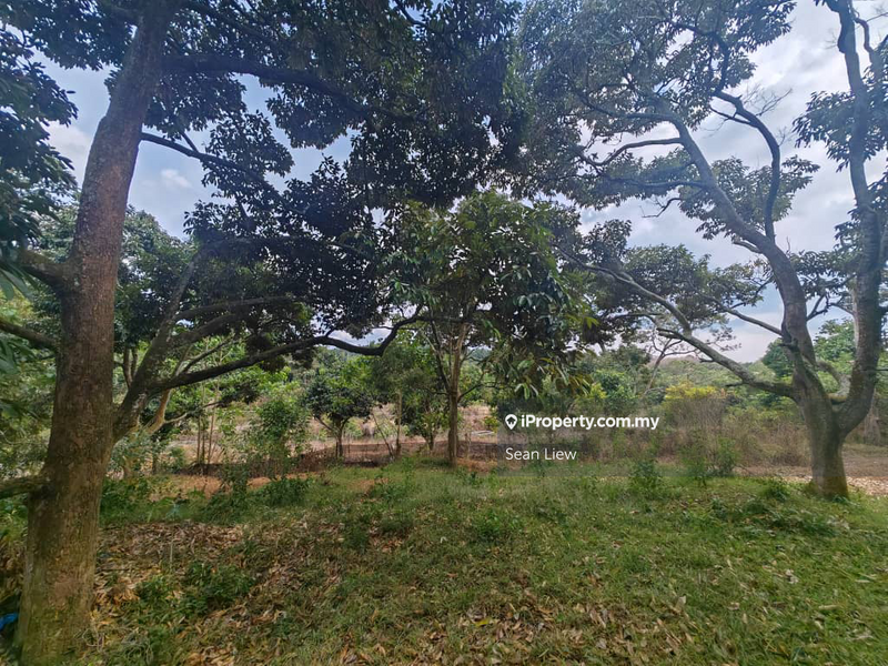 Tanah Pertanian untuk Dijual di Jasin , Melaka, Jasin oleh Sean Liew - iProperty.com.my