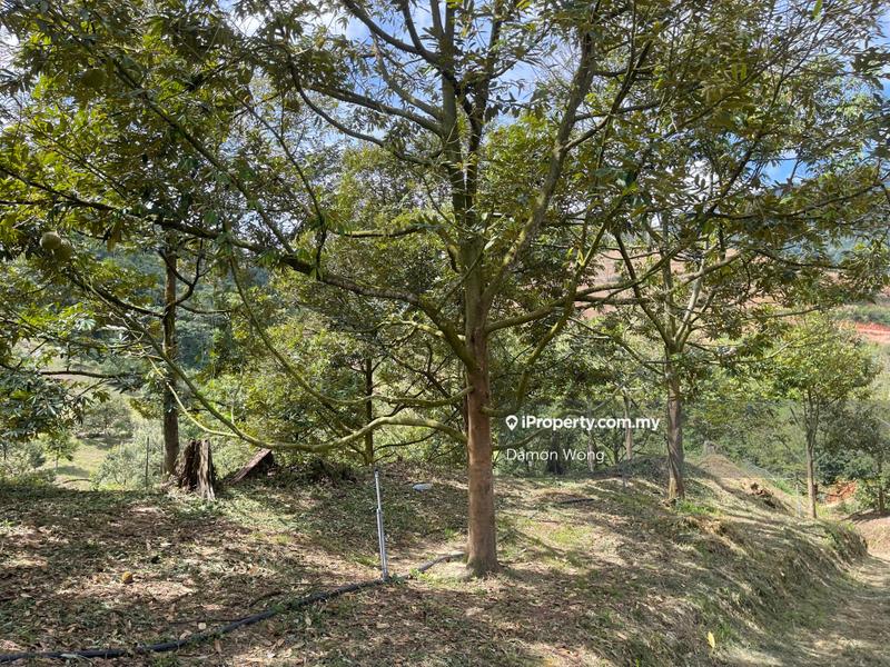 Agricultural Land for Sale in Karak, Bentong by Damon Wong - iProperty.com.my