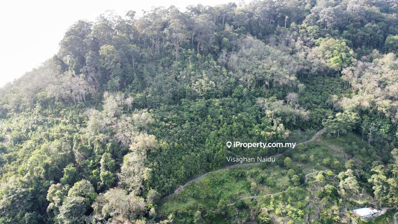 Tanah Pertanian untuk Dijual di Balik Pulau, Penang oleh Visaghan Naidu - iProperty.com.my