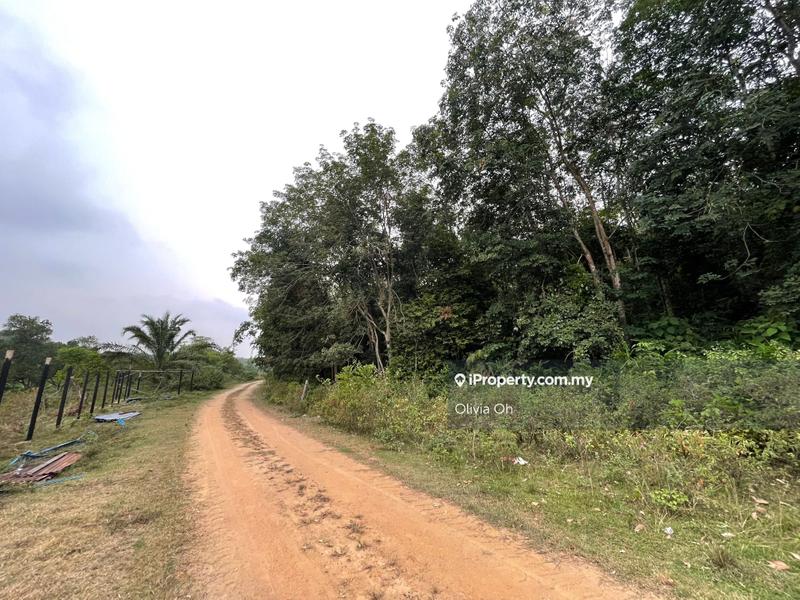 Agricultural Land for Sale in Taman Angsamas, Rasah by Olivia Oh - iProperty.com.my