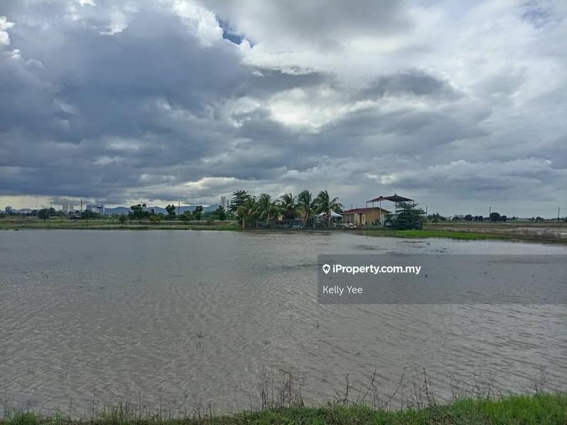 For Sale - First Grade Agriculture Land @ Permatang Nibong for Sale