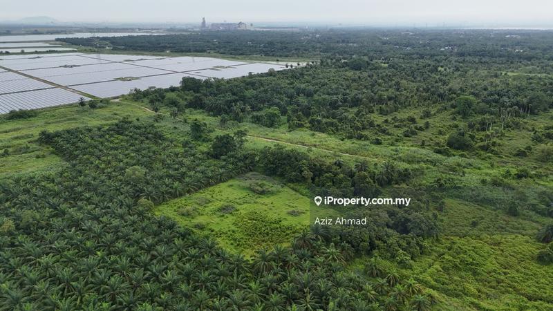 Tanah Pertanian untuk Dijual di Banting, Banting oleh Aziz Ahmad - iProperty.com.my