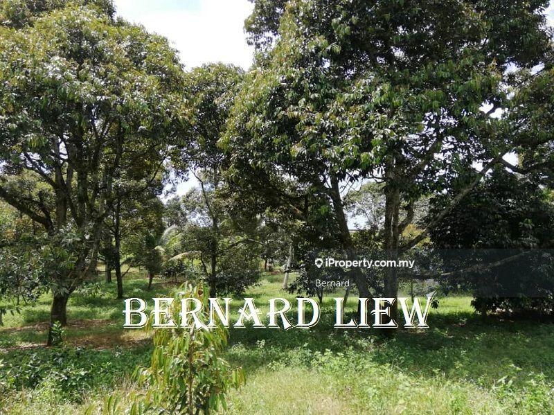 Tanah Pertanian untuk Dijual di Gurun, Kedah oleh Bernard - iProperty.com.my