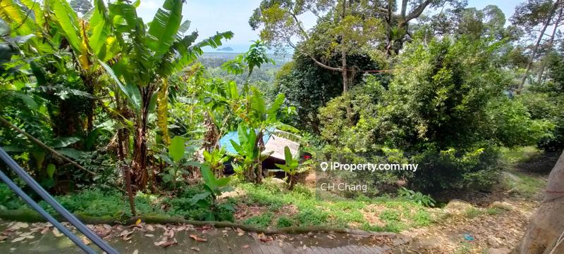 Tanah Pertanian untuk Dijual di Balik Pulau, George Town oleh CH Chang - iProperty.com.my