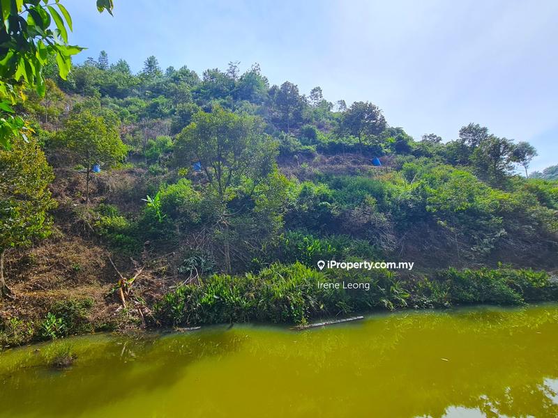 Agricultural Land for Sale in Bentong, Pahang by Irene Leong - iProperty.com.my