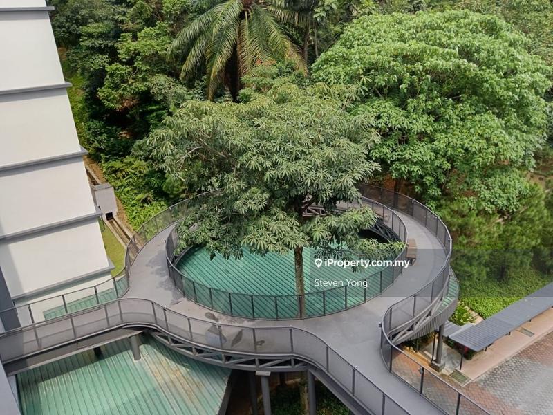 Kondominium untuk Disewa di Sutera Pines oleh Steven Yong - iProperty.com.my