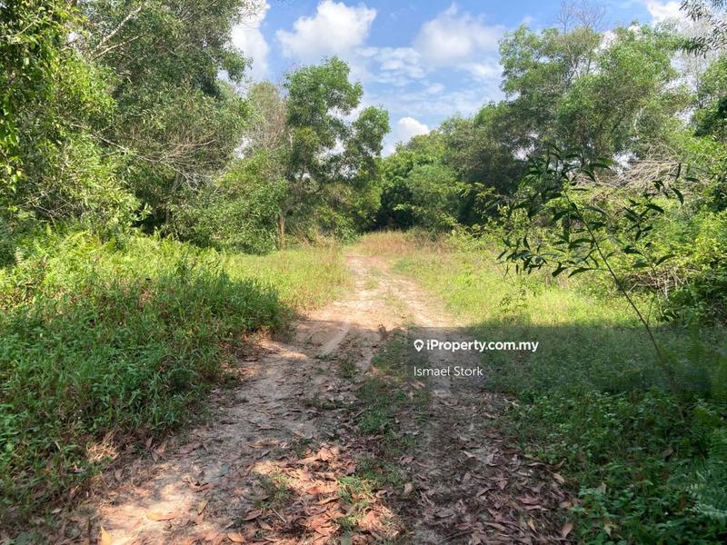 Agricultural Land for Sale in Kampung Sungai Ular, Sungai Karang by Ismael Stork - iProperty.com.my