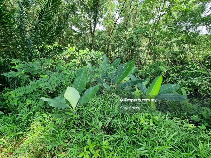 Banglo Tanah untuk Dijual di Bukit Damansara, Damansara Heights oleh Citta Cheng - iProperty.com.my