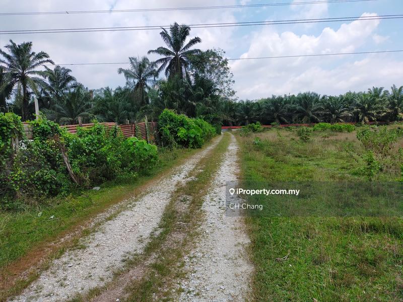 Agricultural Land for Sale in Tasek, Simpang Ampat by CH Chang - iProperty.com.my