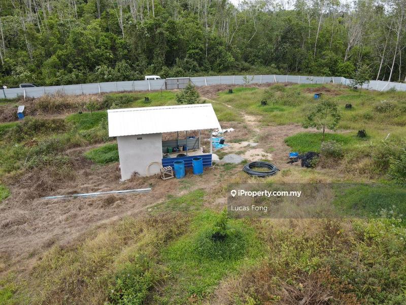 Agricultural Land for Sale in Gerik Perak 5acres Musang King Durian Orchard Land, Gerik by Lucas Fong - iProperty.com.my