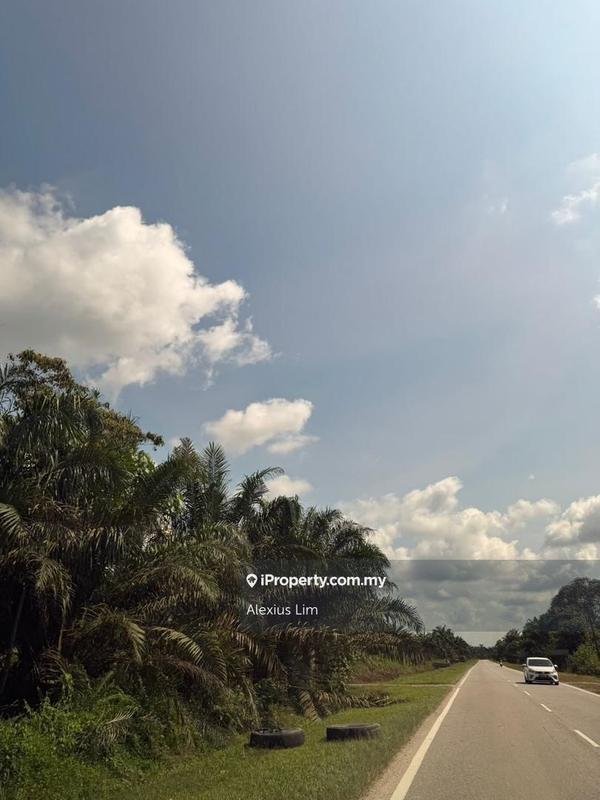 Agricultural Land for Sale in Kampung Batu 28, Pekan Nenas by Alexius Lim - iProperty.com.my