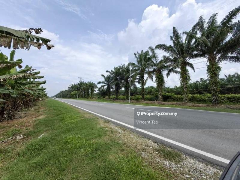 Agricultural Land for Sale in Kampung Tiram Buruk, Tanjong Karang by Vincent Tee - iProperty.com.my