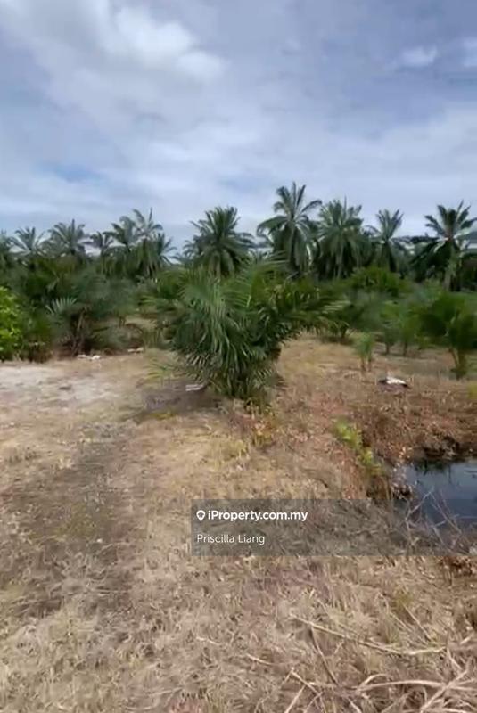 Tanah Pertanian untuk Dijual di Tanjung Dua Belas, Banting oleh Priscilla Liang - iProperty.com.my