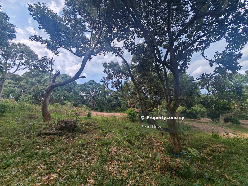 Tanah Pertanian untuk Dijual di Jasin , Melaka, Jasin oleh Sean Liew - iProperty.com.my