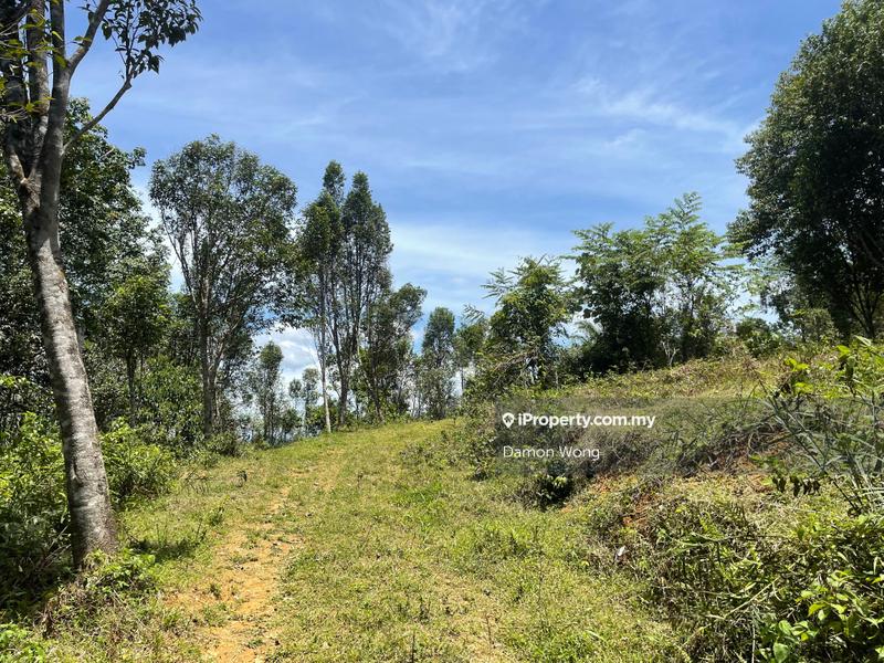 For Sale - 9 acres land in Lipis