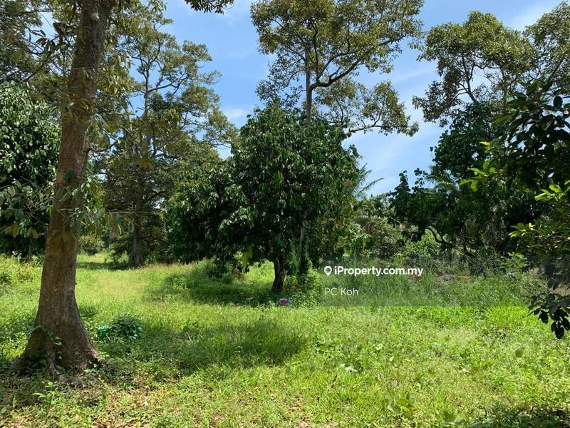 Tanah Pertanian untuk Dijual di Kesang Laut, Muar oleh PC Koh - iProperty.com.my