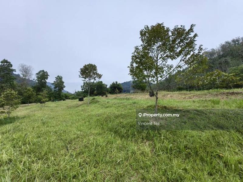 Tanah Pertanian untuk Dijual di Kampung Renal, Kuala Klawang oleh Vincent Tee - iProperty.com.my