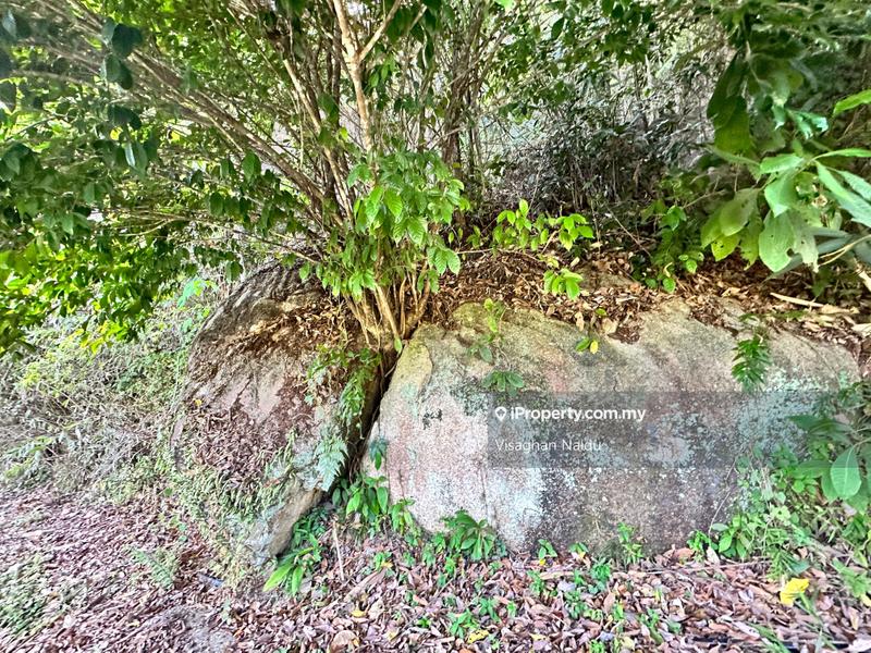 Tanah Pertanian untuk Dijual di Balik Pulau, Penang oleh Visaghan Naidu - iProperty.com.my