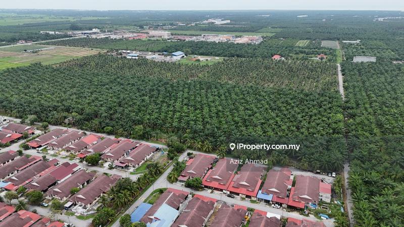 Agricultural Land for Sale in 3ayxd, Sabak Bernam by Aziz Ahmad - iProperty.com.my