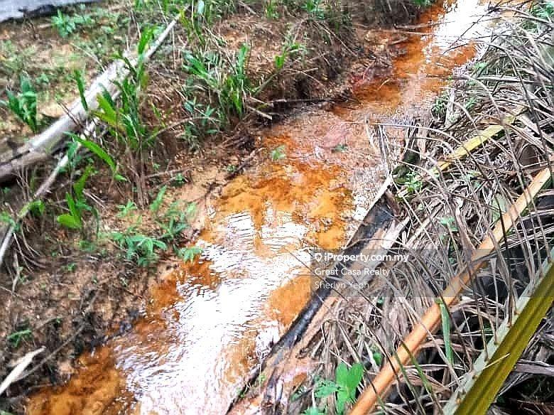 Agricultural Land for Sale in Slim River, Perak by Sherlyn Yeoh - iProperty.com.my