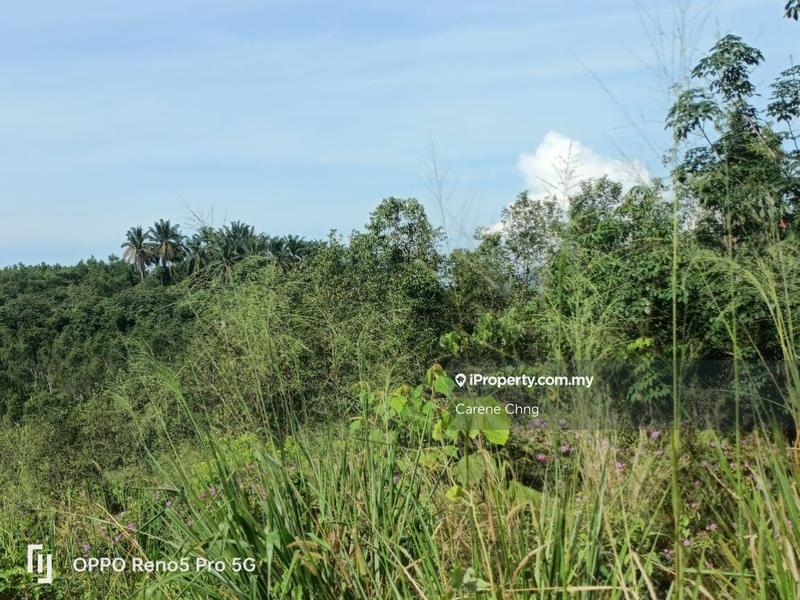 Agricultural Land for Sale in Hulu Semenyih, Semenyih by Carene Chng - iProperty.com.my