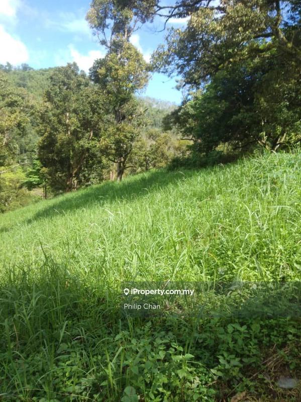 Agricultural Land for Sale in Kampung Perting, Bentong by Philip Chan - iProperty.com.my