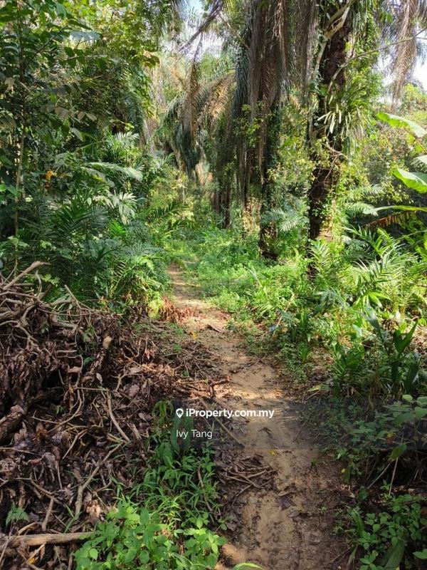 Agricultural Land for Rent in Taman Tambun, Ipoh by Ivy Tang - iProperty.com.my