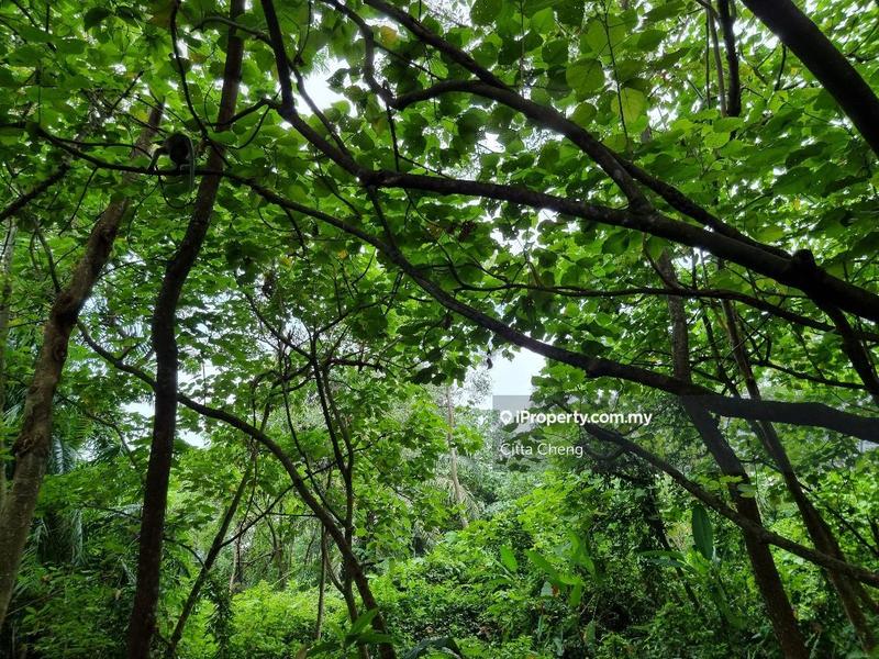 Bungalow Land for Sale in Taman Duta, Bukit Tunku (Kenny Hills) by Citta Cheng - iProperty.com.my