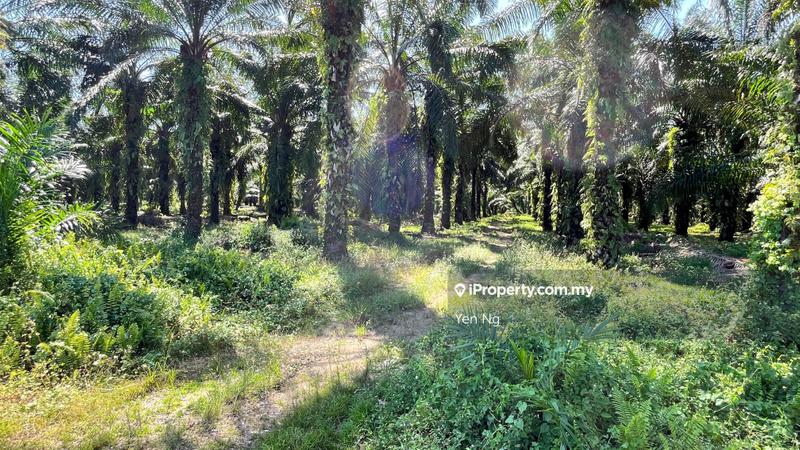 Industrial Land for Sale in Nilai Industrial Park, Nilai, Seremban, Nilai by Yen Ng - iProperty.com.my