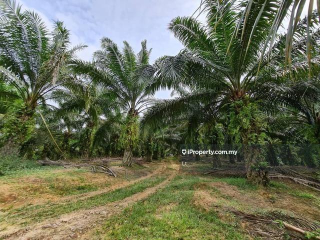 For Sale - Potential Industrial Zoning Land for Sale at Jasin Melaka