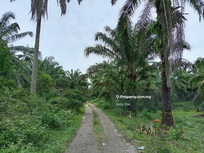 Tanah Kediaman untuk Dijual di Sungai Jawi, Penang oleh Kelly Yee - iProperty.com.my