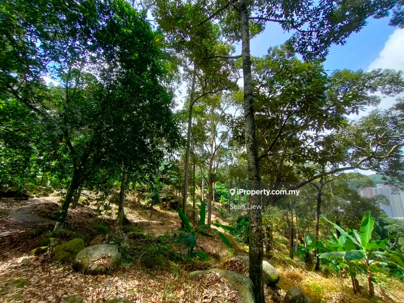 Agricultural Land for Sale in Pulau Penang, Bayan Lepas by Sean Liew - iProperty.com.my