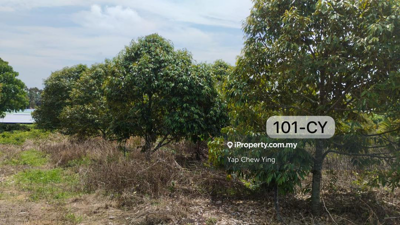 Industrial Land for Sale in 8.39Acre Zone Industrial @ Pekan Simpang Tiga, Ijok by Yap Chew Ying - iProperty.com.my