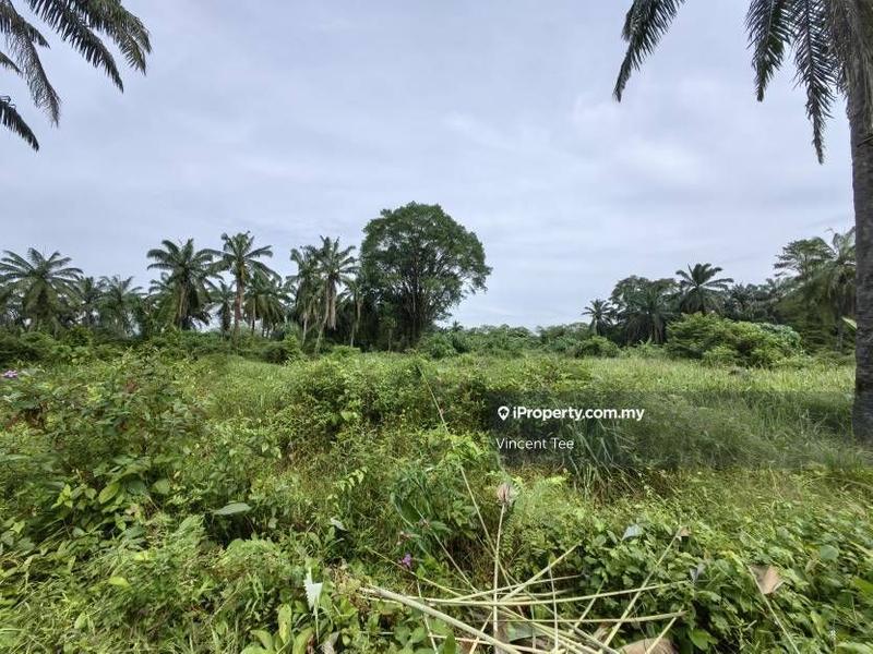 Agricultural Land for Sale in Kota Warisan, Sepang by Vincent Tee - iProperty.com.my