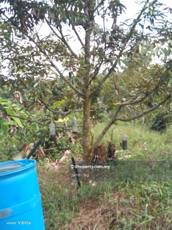 Tanah Pertanian untuk Dijual di Seri Telemong, Telemong oleh James Ng - iProperty.com.my
