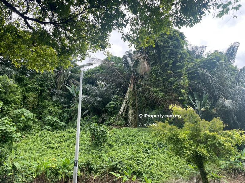 Tanah Pertanian untuk Dijual di AMPANGAN, Seremban oleh James Ng - iProperty.com.my
