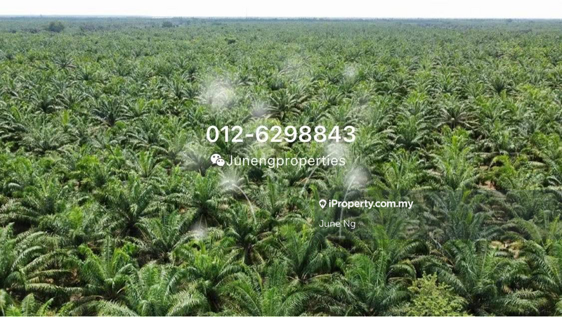 Agricultural Land for Sale in Taman Jempol, Bahau by June Ng - iProperty.com.my