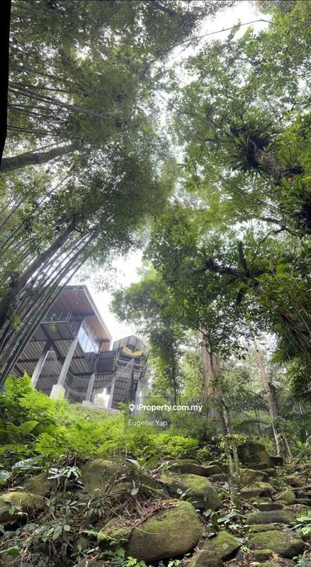 Tanah Pertanian untuk Dijual di 3 Acre Resort,Tanarimba @ Janda Baik, Bukit Tinggi, Bentong oleh Eugene Yap - iProperty.com.my
