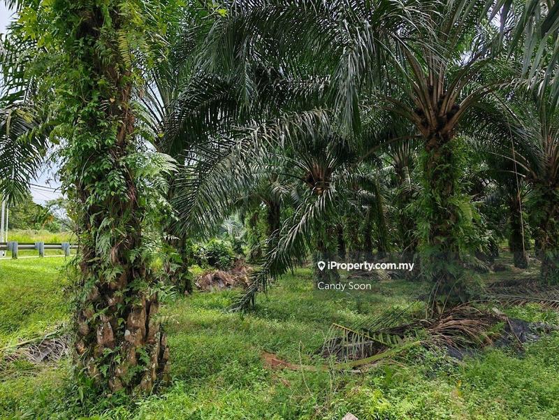 Tanah Pertanian untuk Dijual di Taman Rembau Utama, Rembau oleh Candy Soon - iProperty.com.my