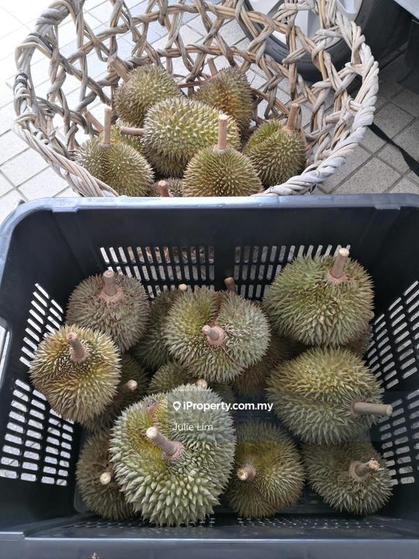 Tanah Pertanian untuk Dijual di Kampung Kuala Slim, Slim oleh Julie Lim - iProperty.com.my