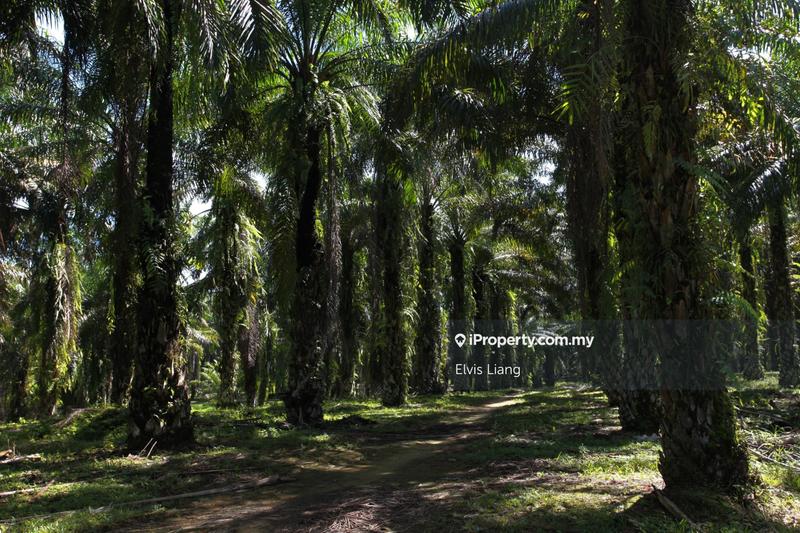 Industrial Land for Sale in Taman Perindustrian Nusa Cemerlang, Iskandar Puteri (Nusajaya) by Elvis Liang - iProperty.com.my