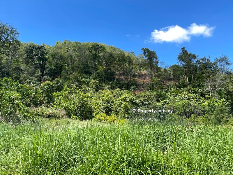 Agricultural Land for Sale in Karak, Bentong by Damon Wong - iProperty.com.my